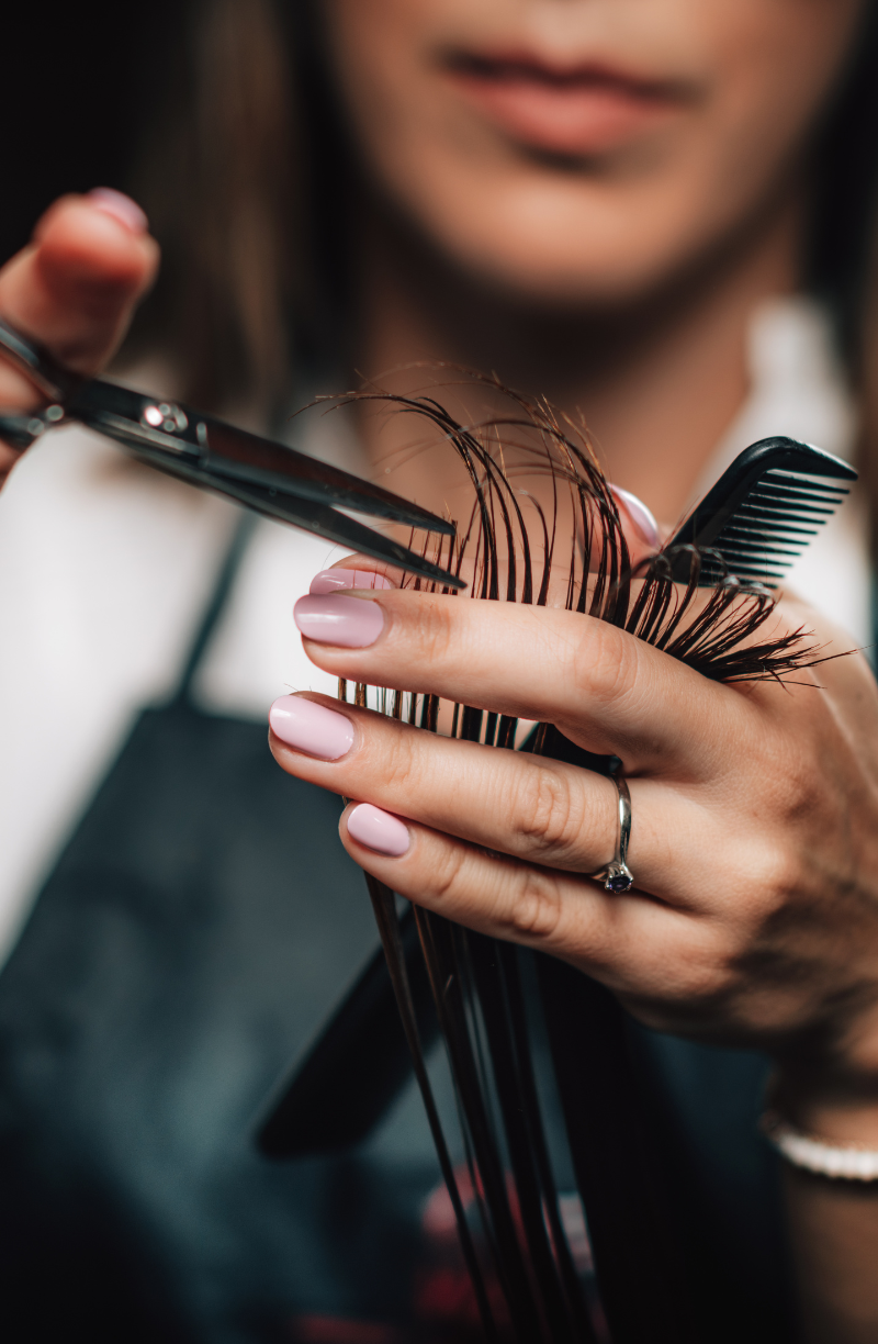 Basic Beauty and General Aesthetic